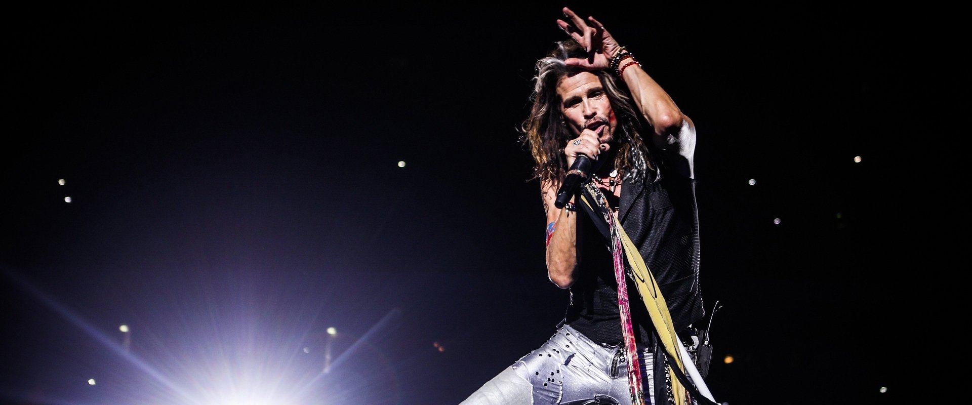 Steven Tyler: Out on a Limb