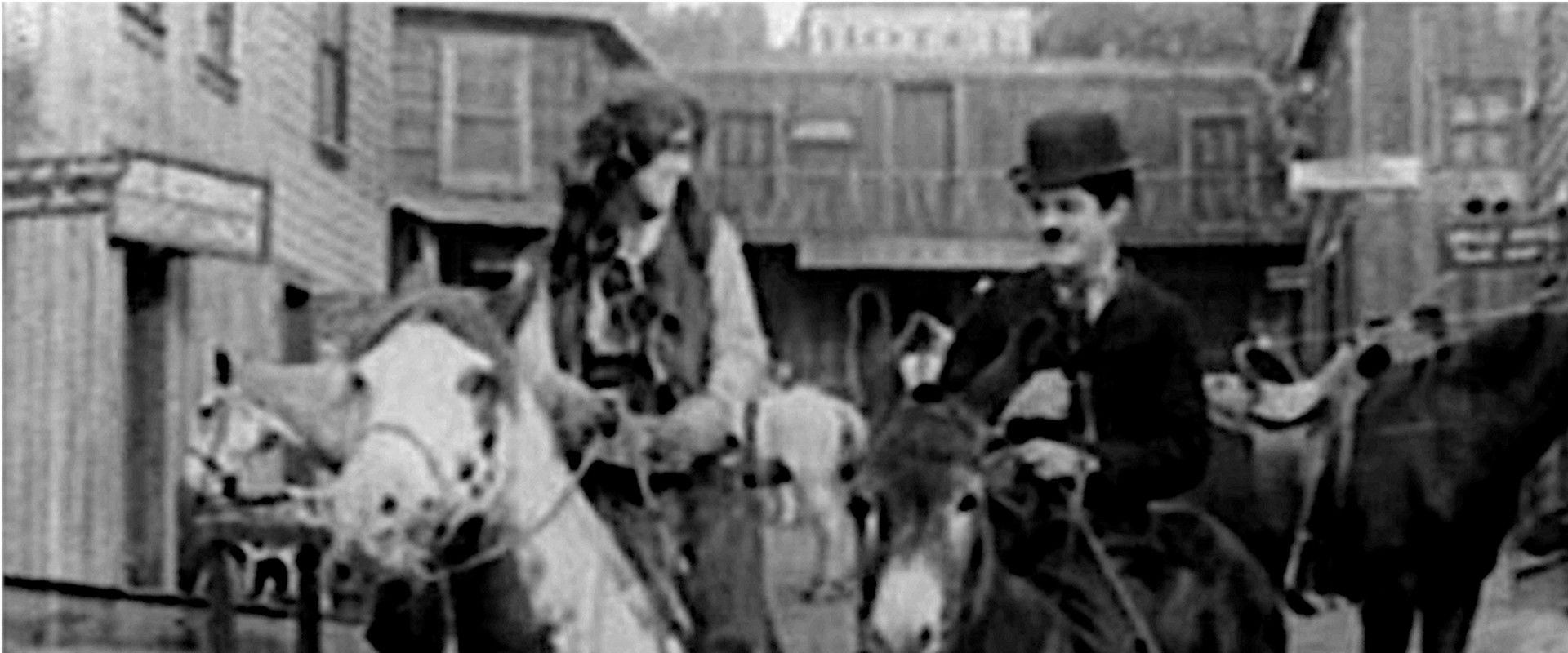 The Stranger's banner image