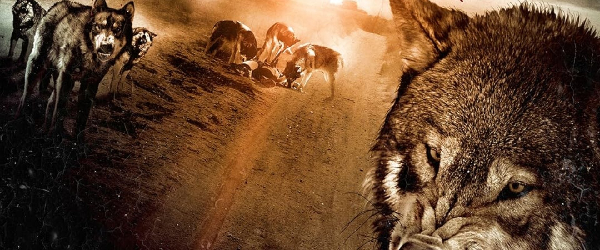 Wolf Town