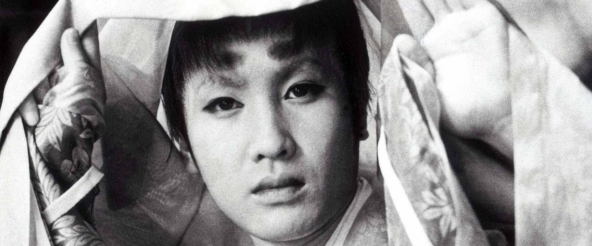 Minamoto Yoshitsune's banner image