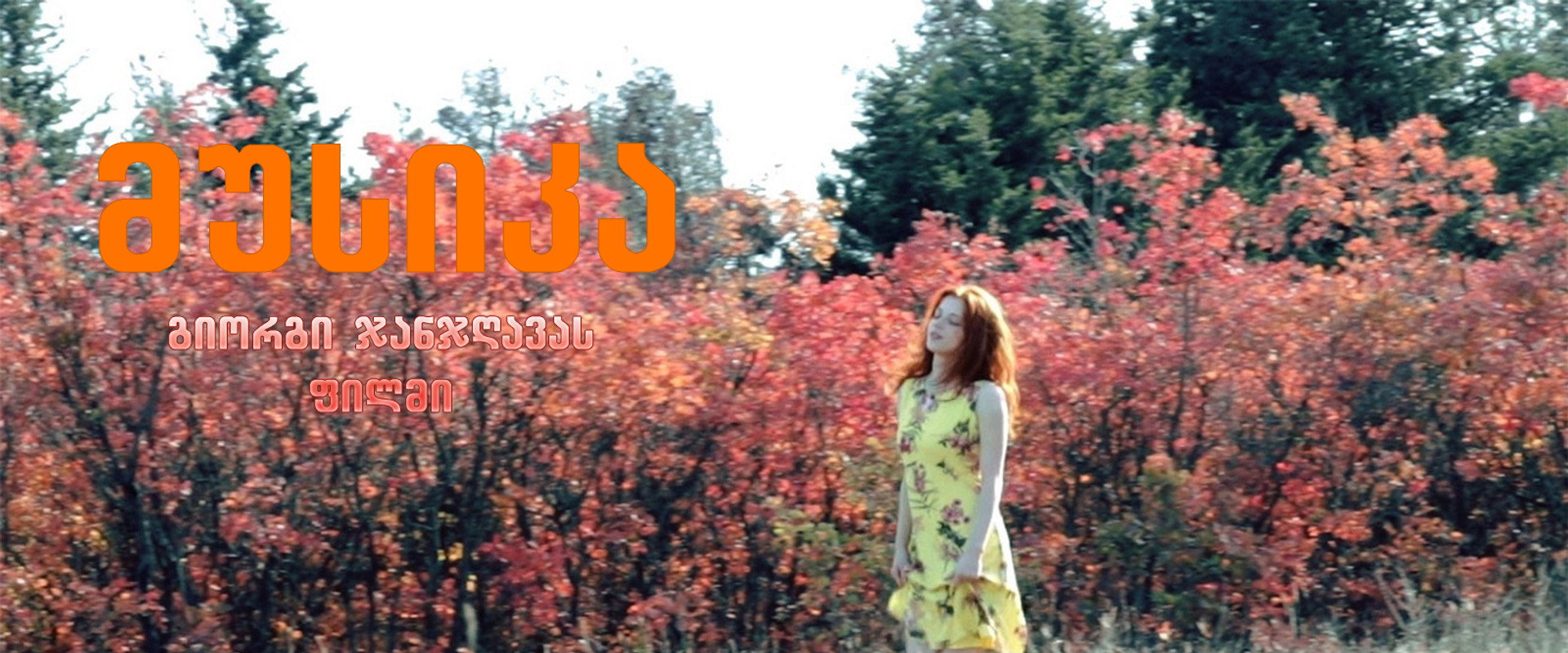 The Music's banner image