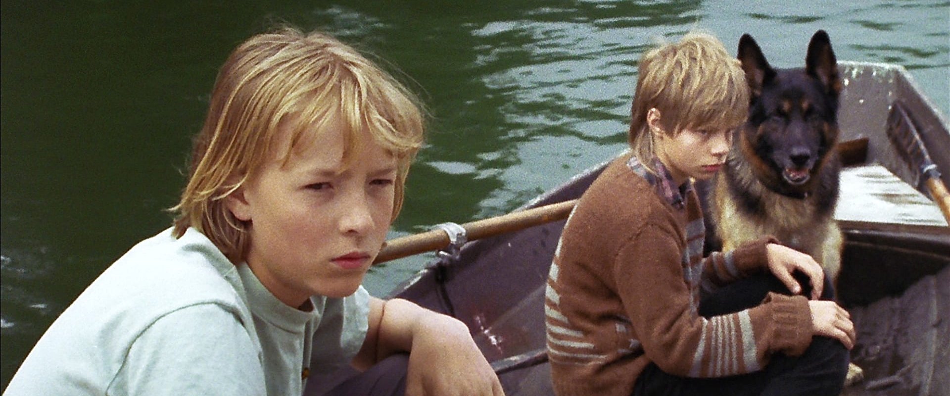 Susikoira Roi - seikkailu saaristossa