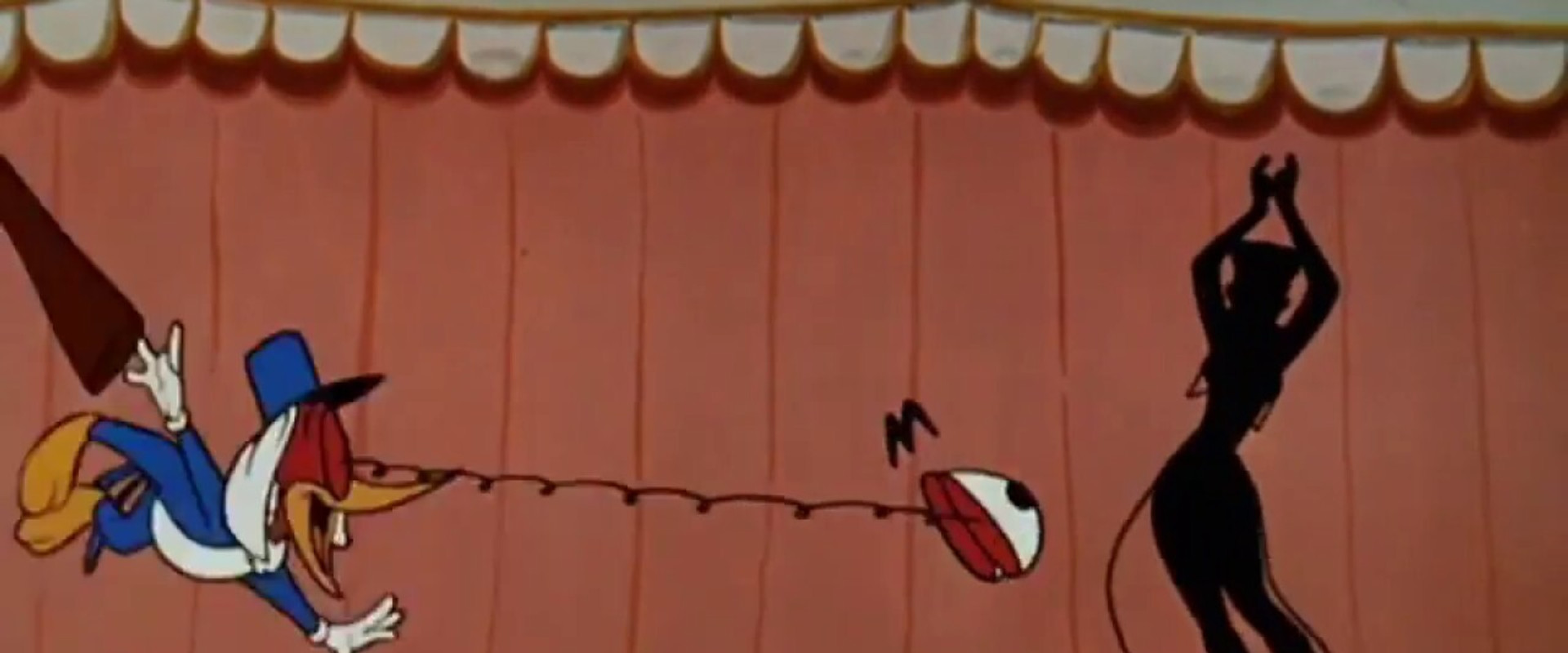 Socko in Morocco's banner image