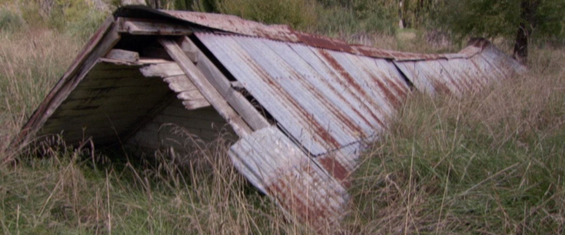 Saving Grace - Te Whakarauora Tangata's banner image