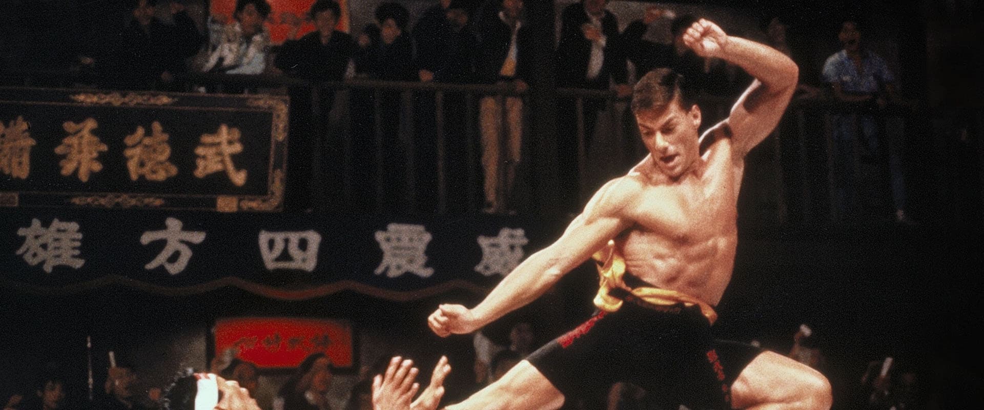 Bloodsport, tous les coups sont permis