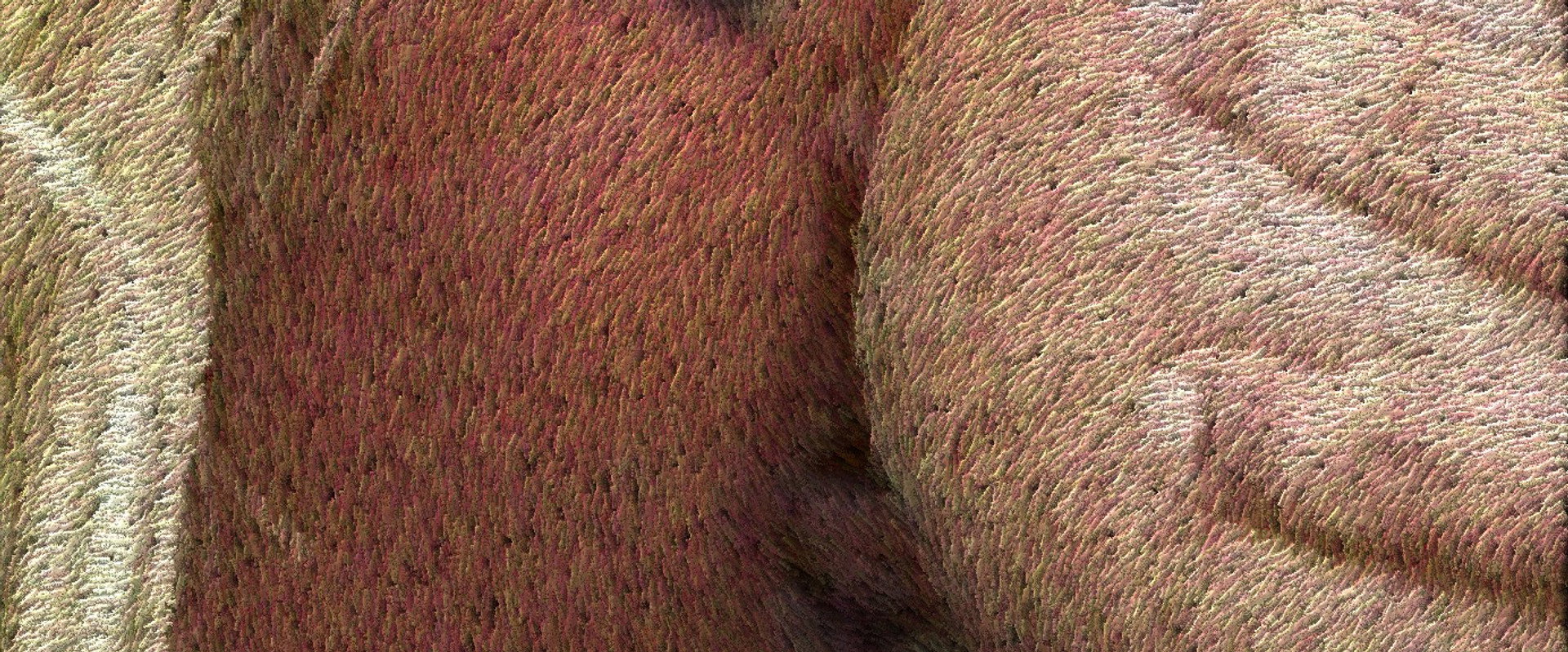 Rough Sex 2's banner image