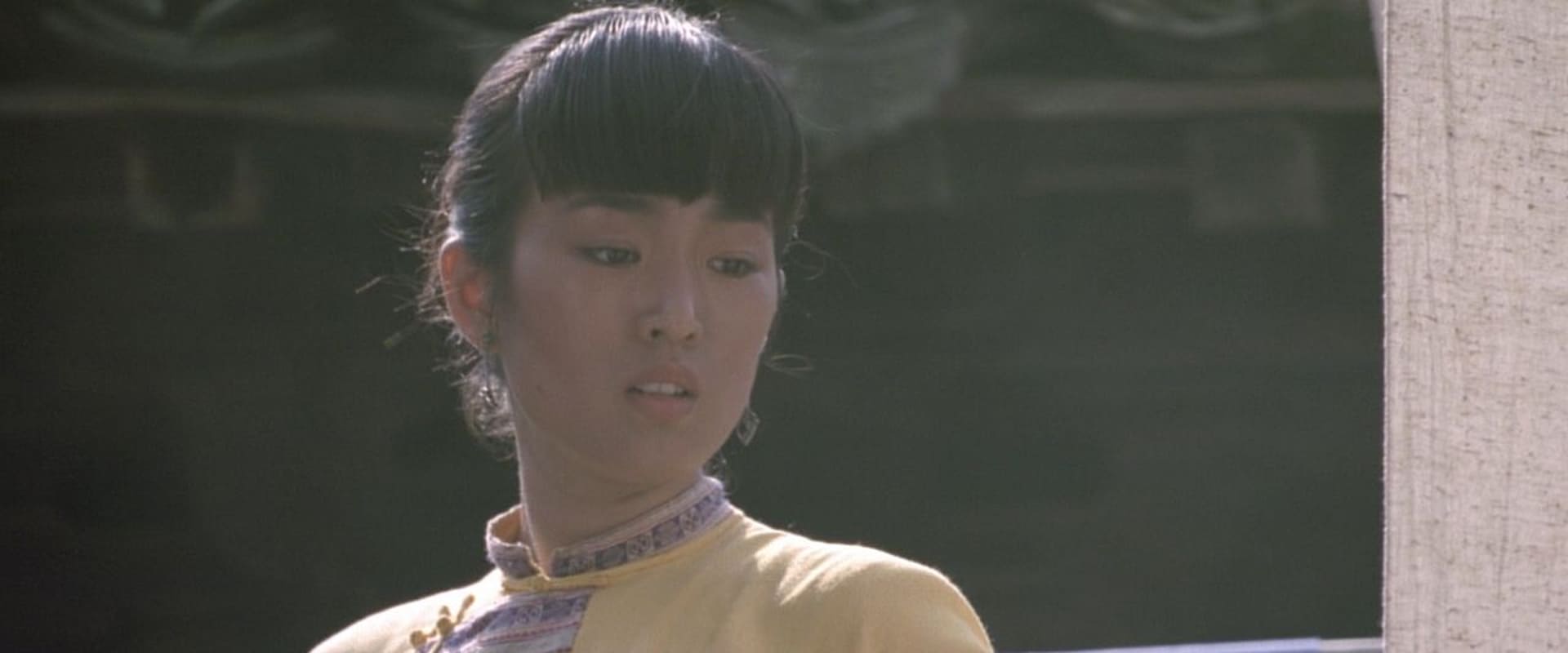 Semilla de crisantemo