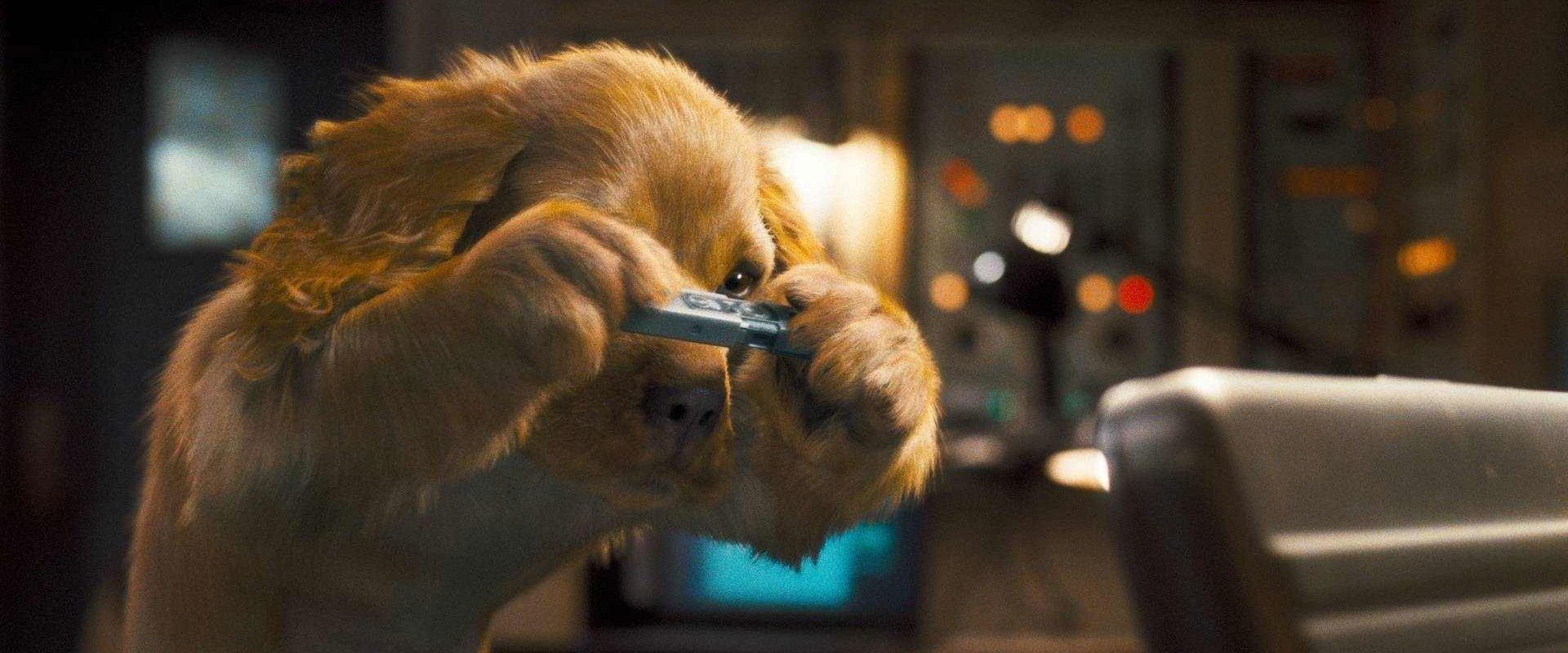 Cats & Dogs: The Revenge of Kitty Galore