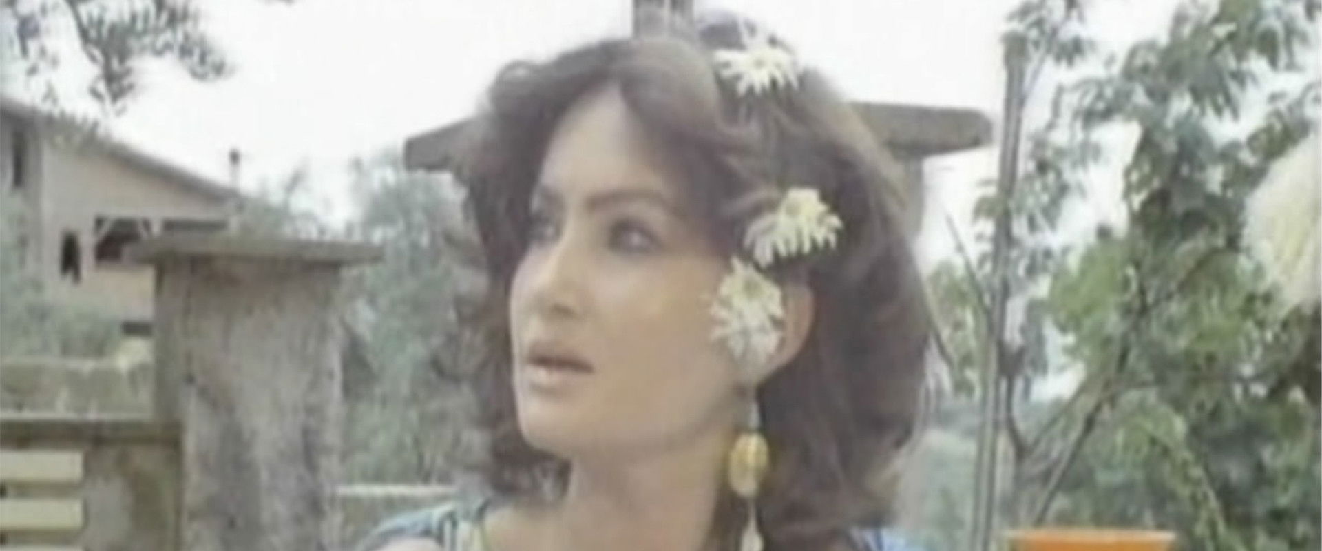 Naked Wild Erections's banner image