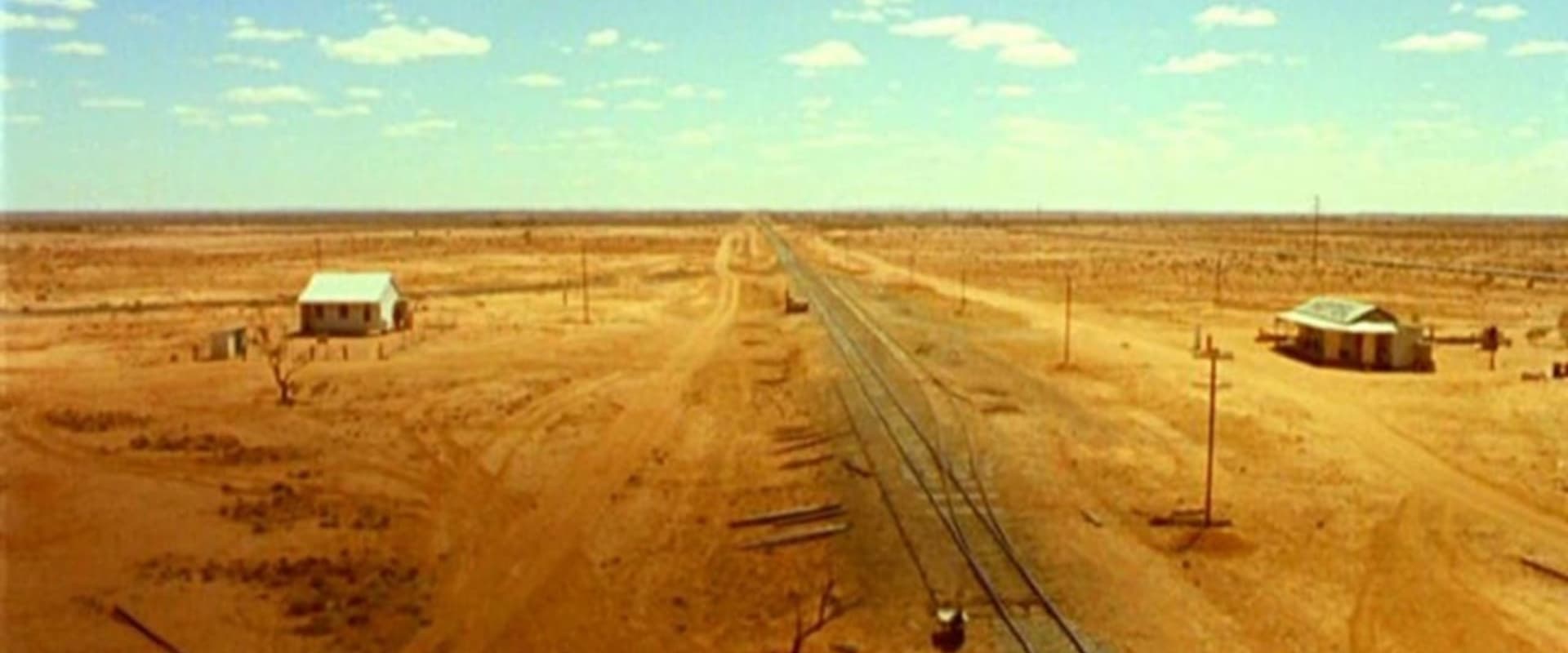 Wake in Fright