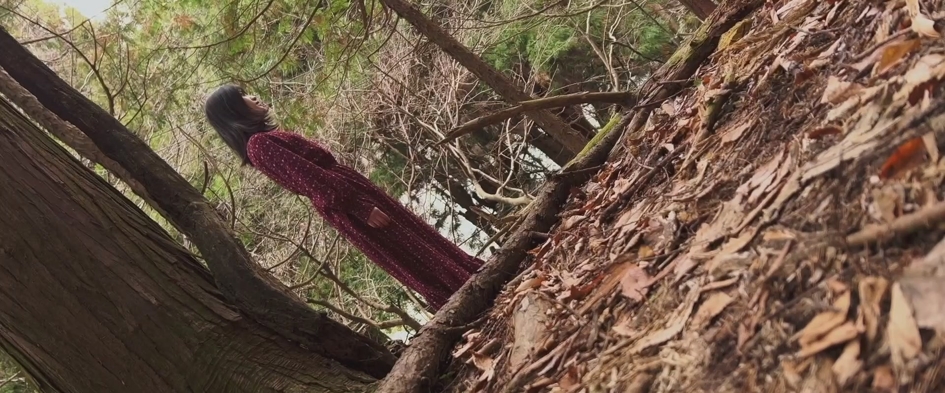 Koji Shiraishi's Never Send Me, Please's banner image