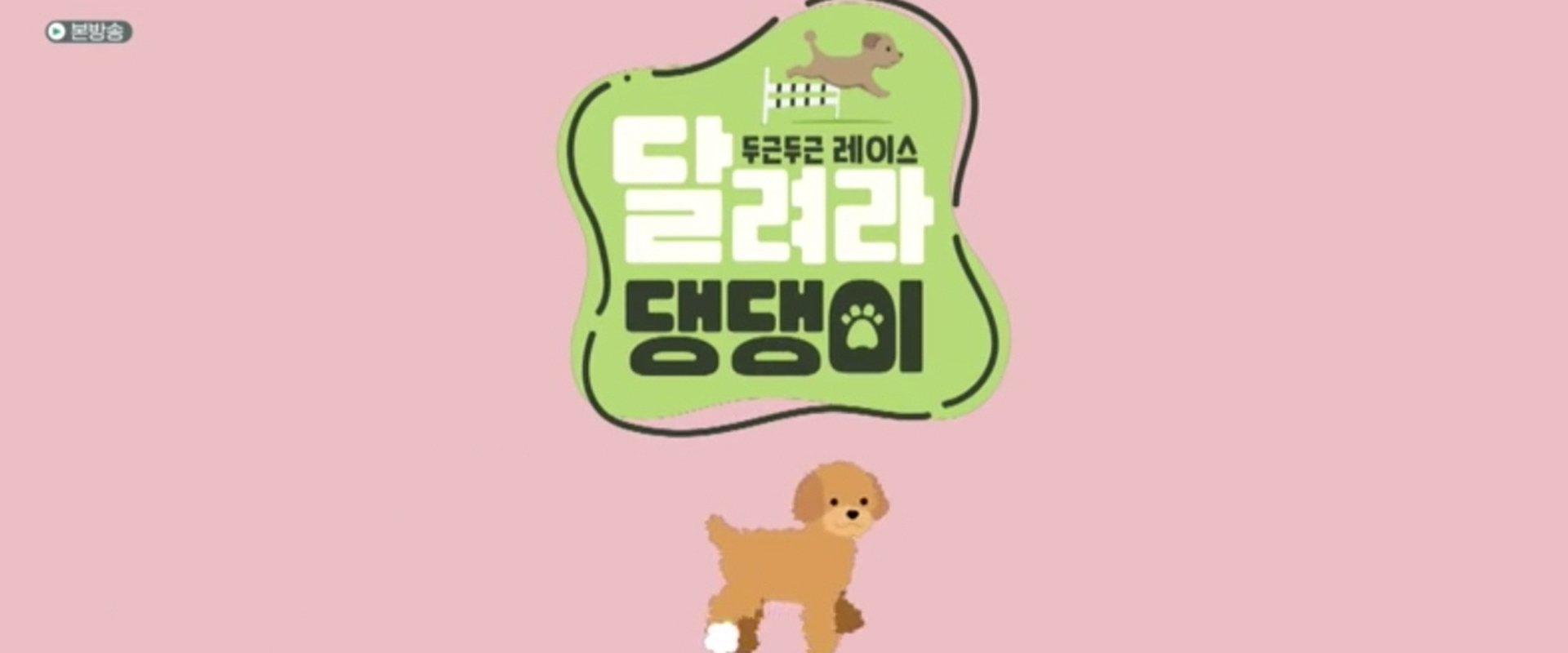 달려라 댕댕이