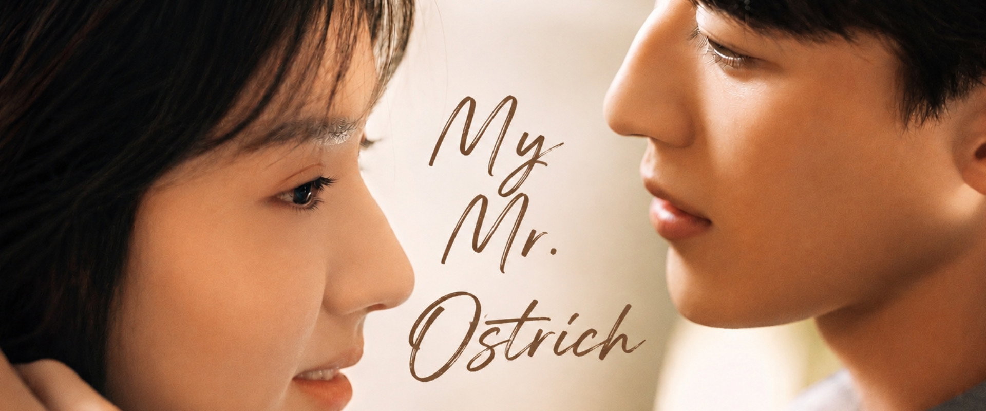 My Mr. Ostrich's banner image
