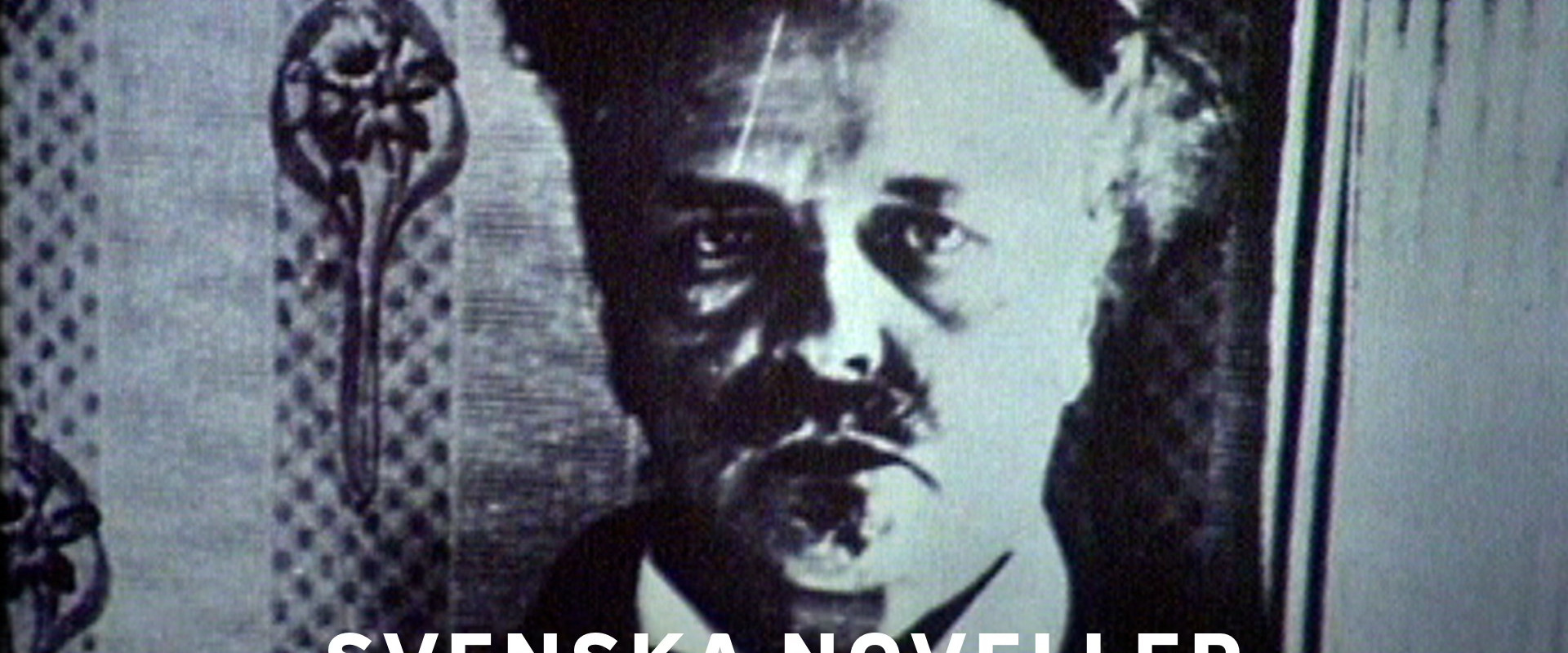 Svenska noveller's banner image