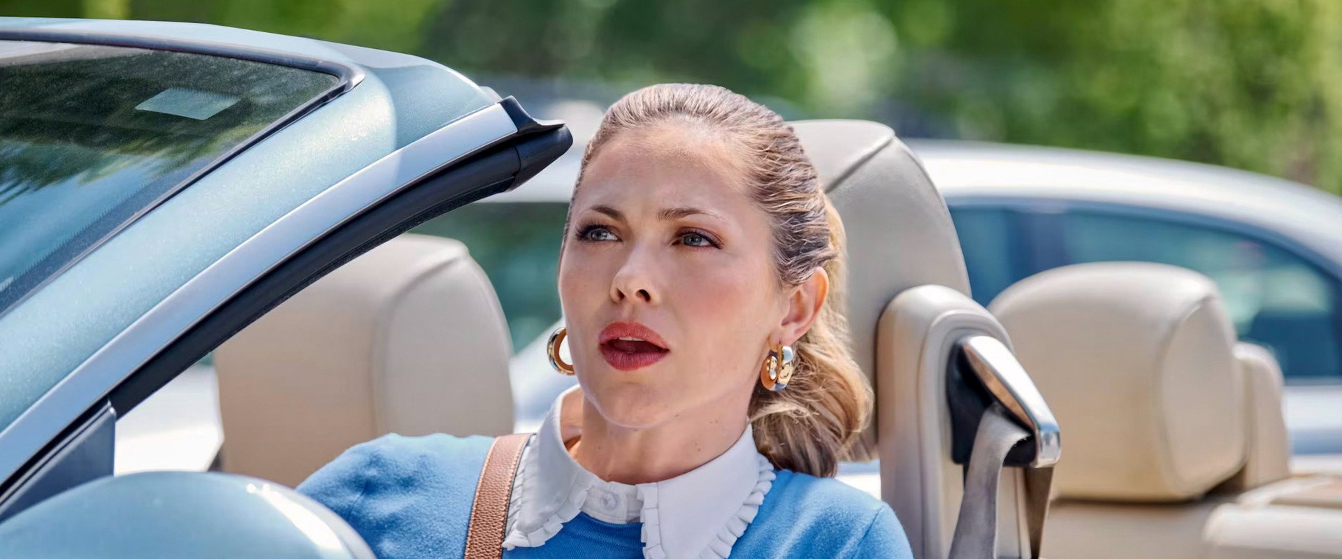 Nelly Knows Mysteries: A Fatal Engagement's banner image