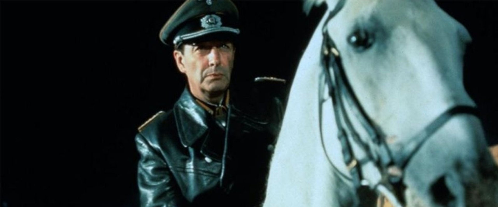 Miracle of the White Stallions