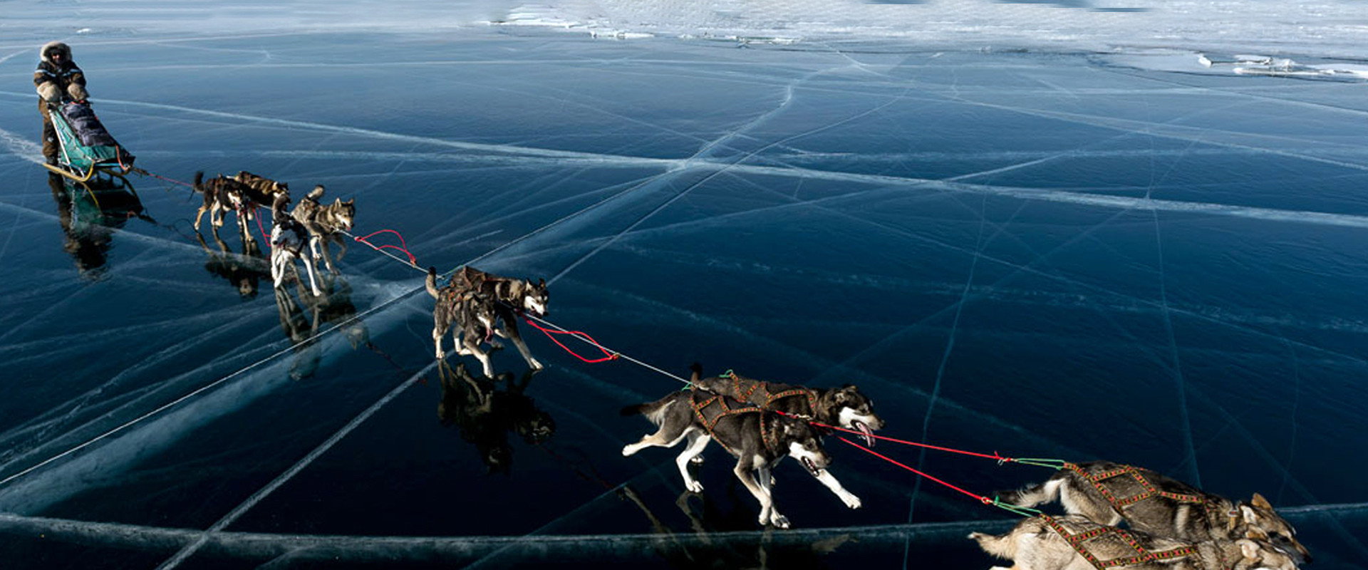 Au Nord De L'Hiver's banner image