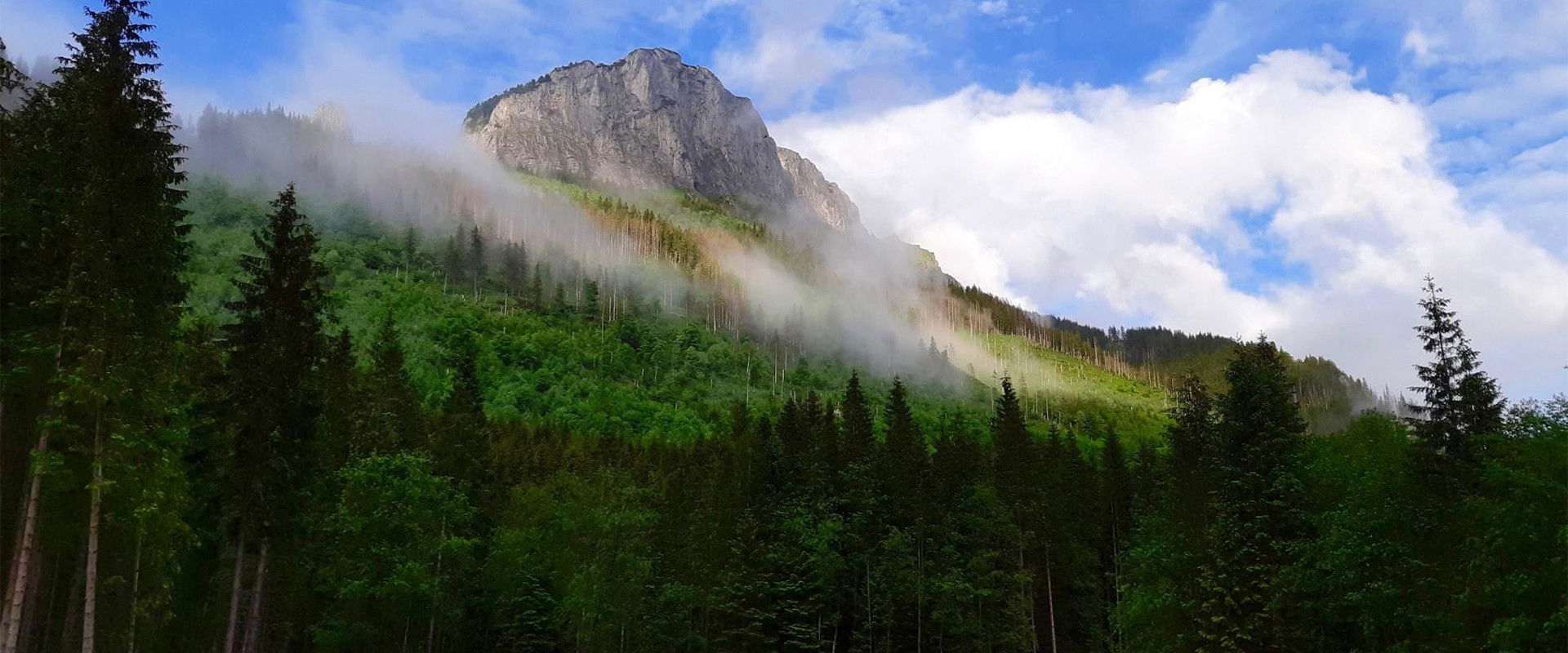 Národné parky Slovenska