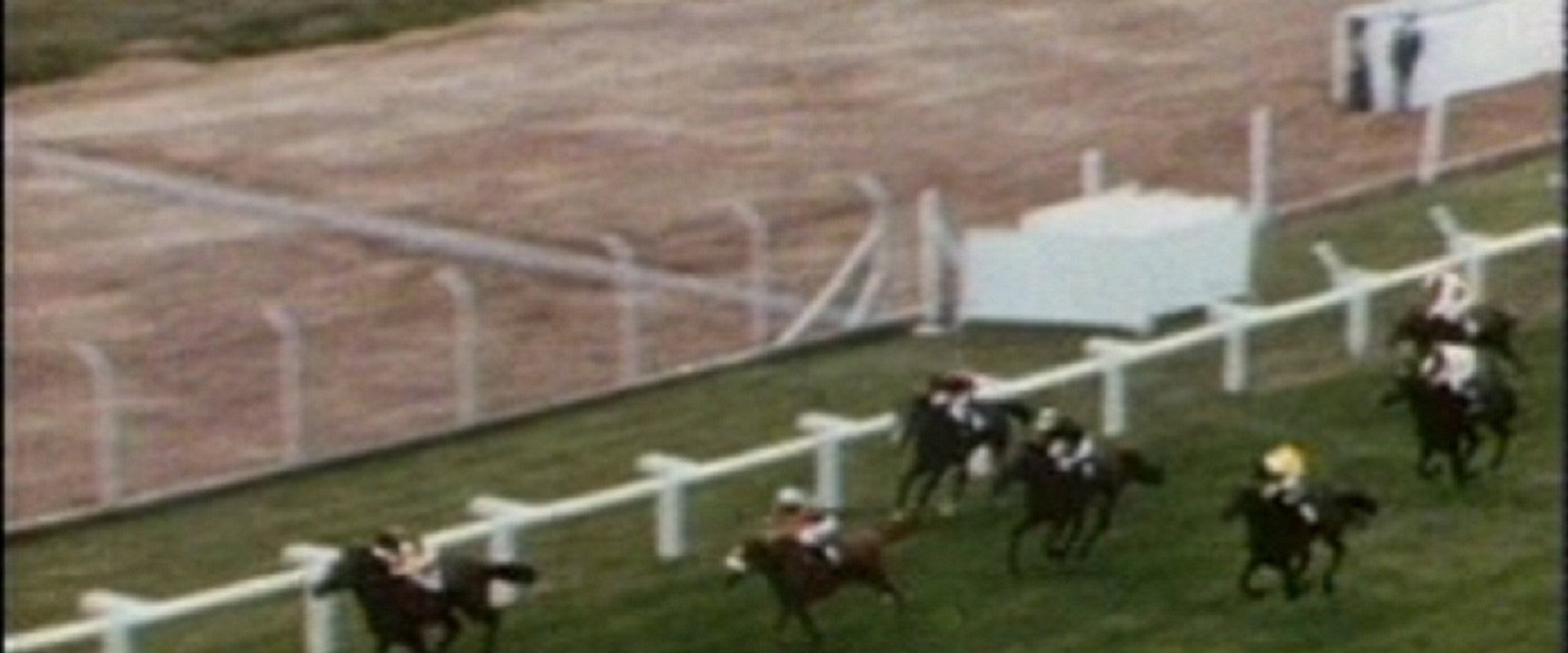 Punters's banner image