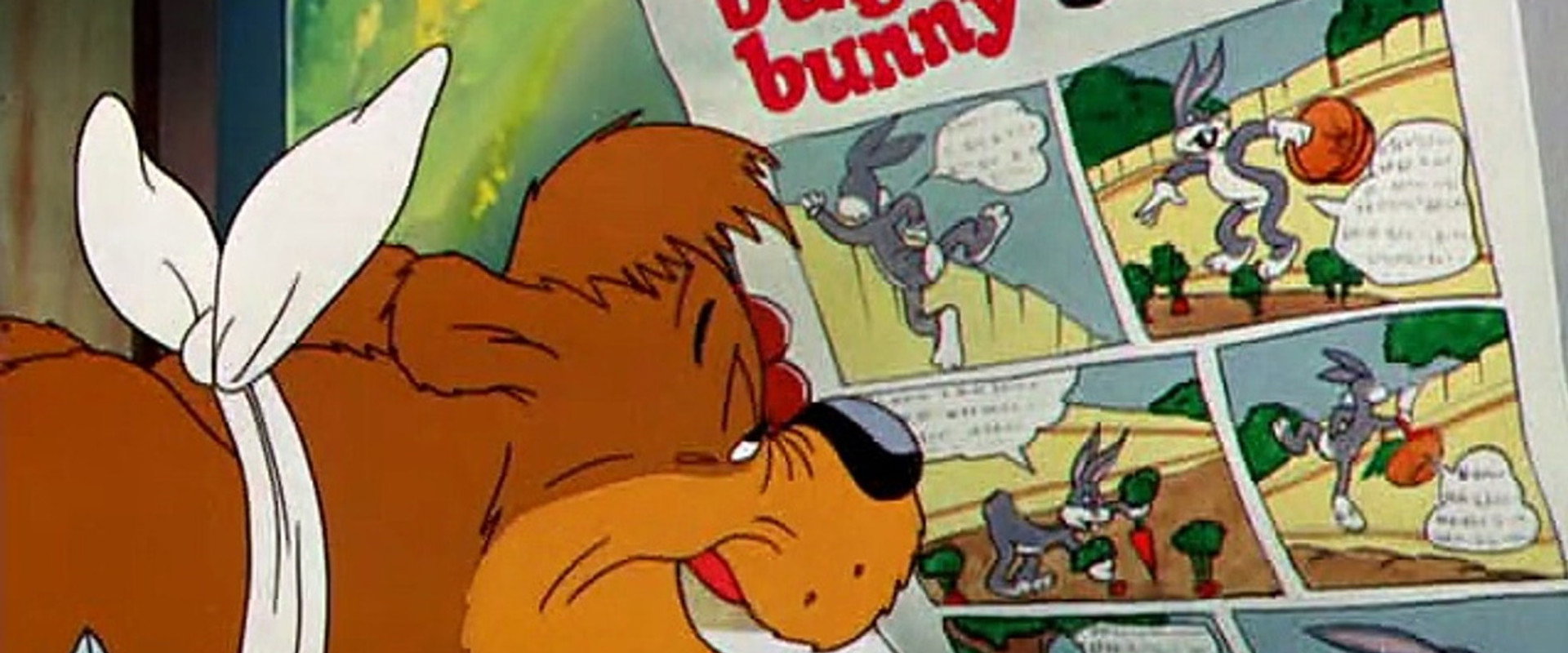 Bear Feat's banner image