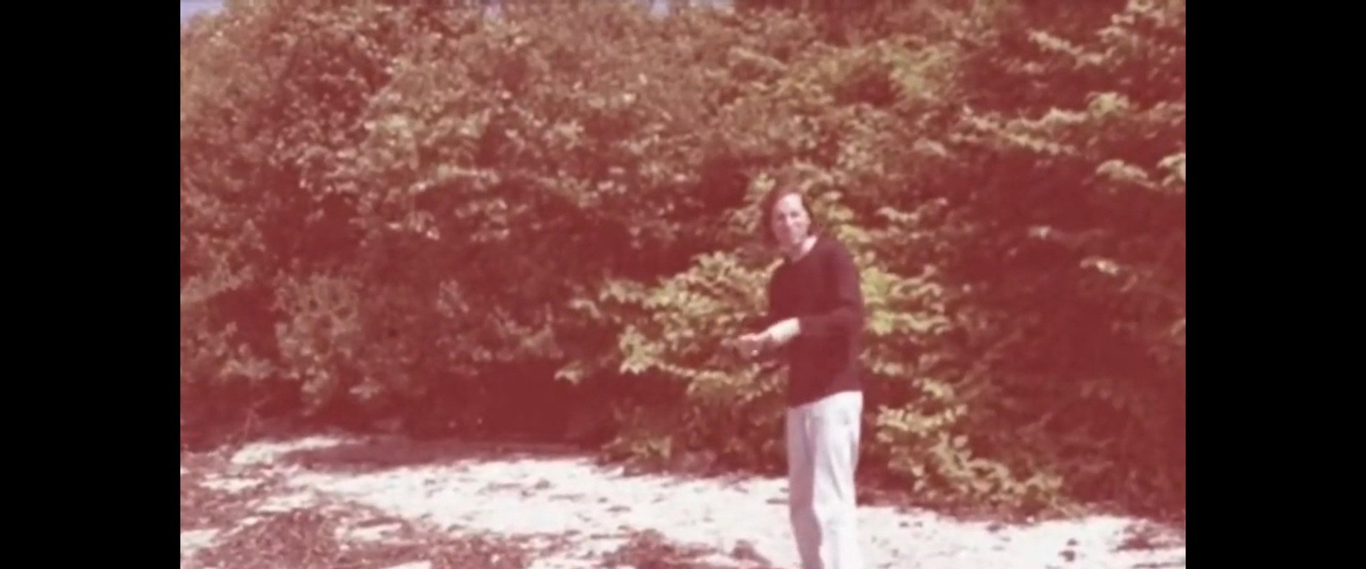 Moonrise Kingdom Extras - Eleven iPhone Videos by Edward Norton.