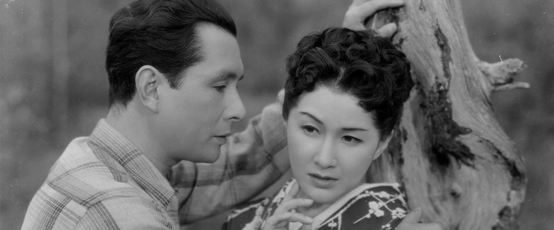 Sound in the Mist's banner image