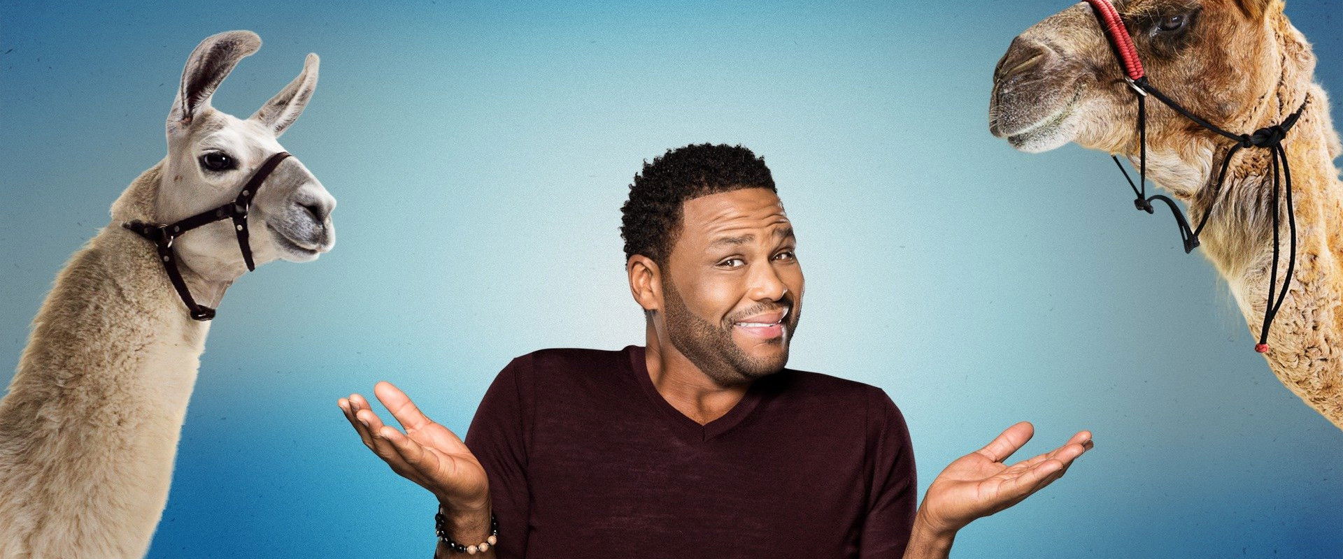 Animal Nation With Anthony Anderson