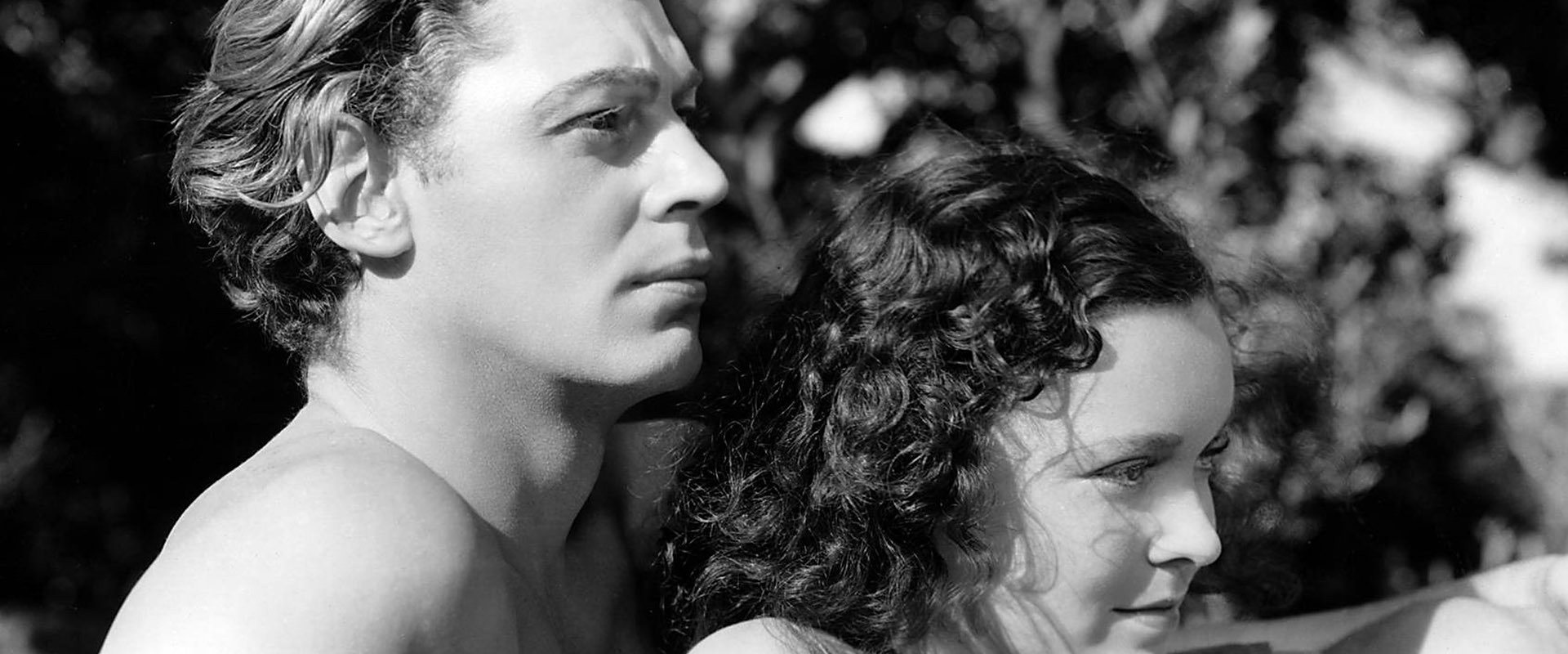 Tarzan and His Mate's banner image