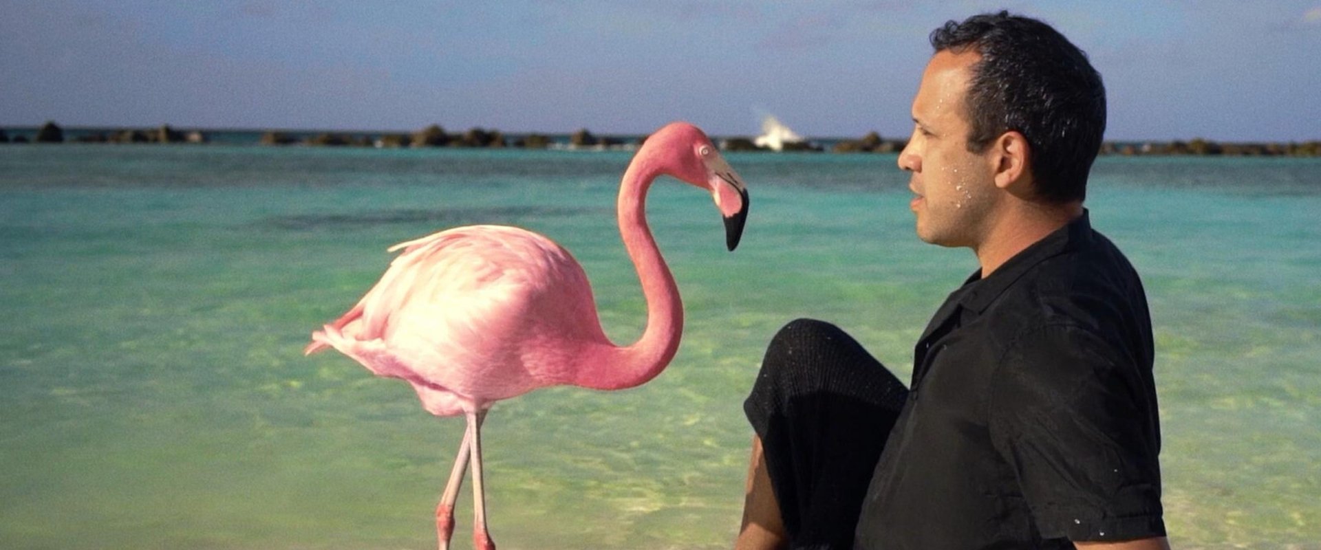 The Mystery of the Pink Flamingo