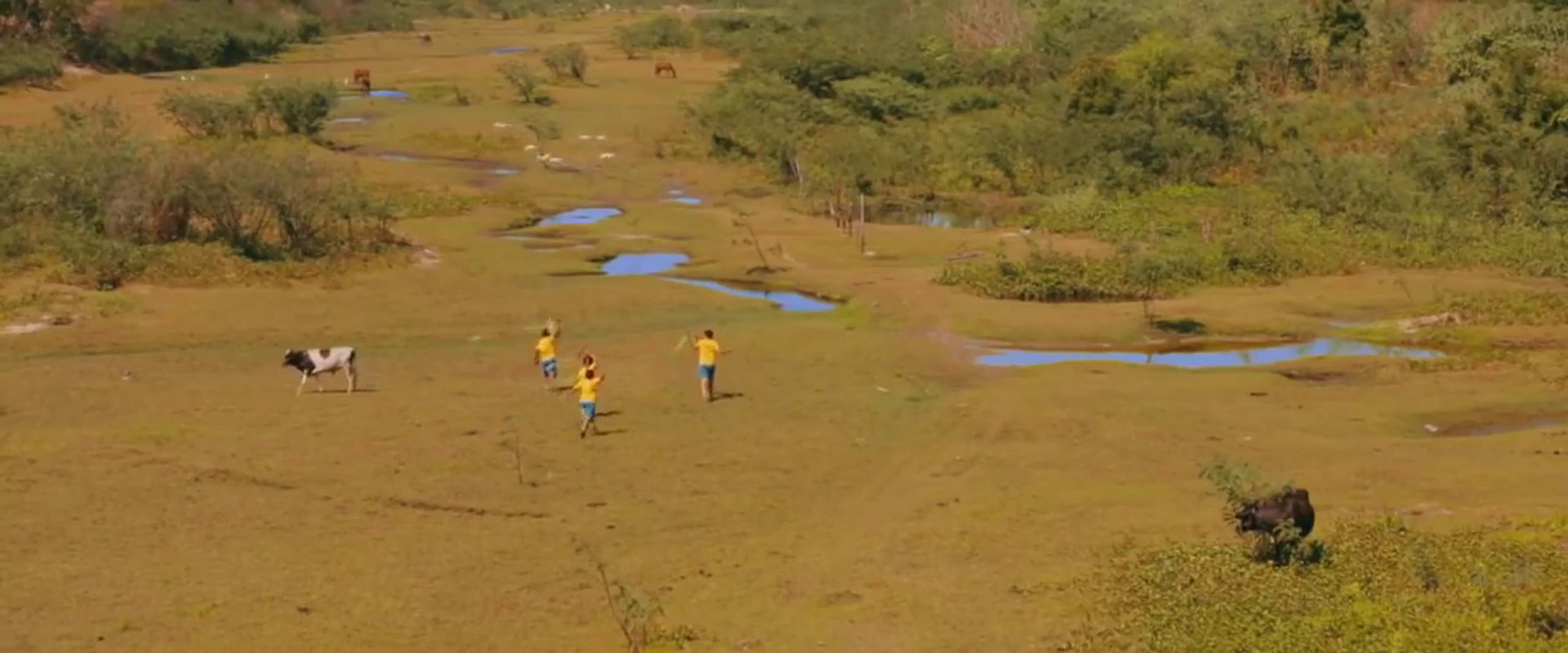 A Casa do Doido Alexandre's banner image