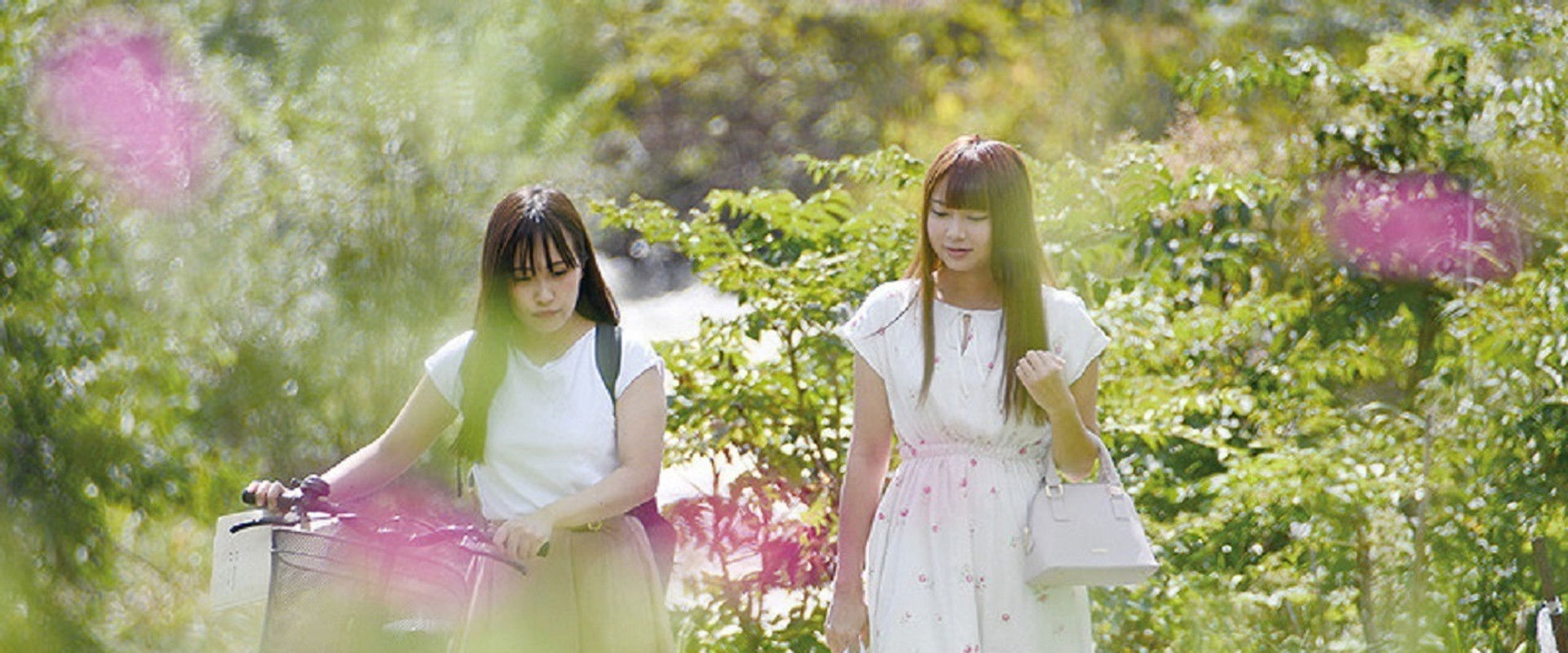 Adult Classmates, and First Love's banner image