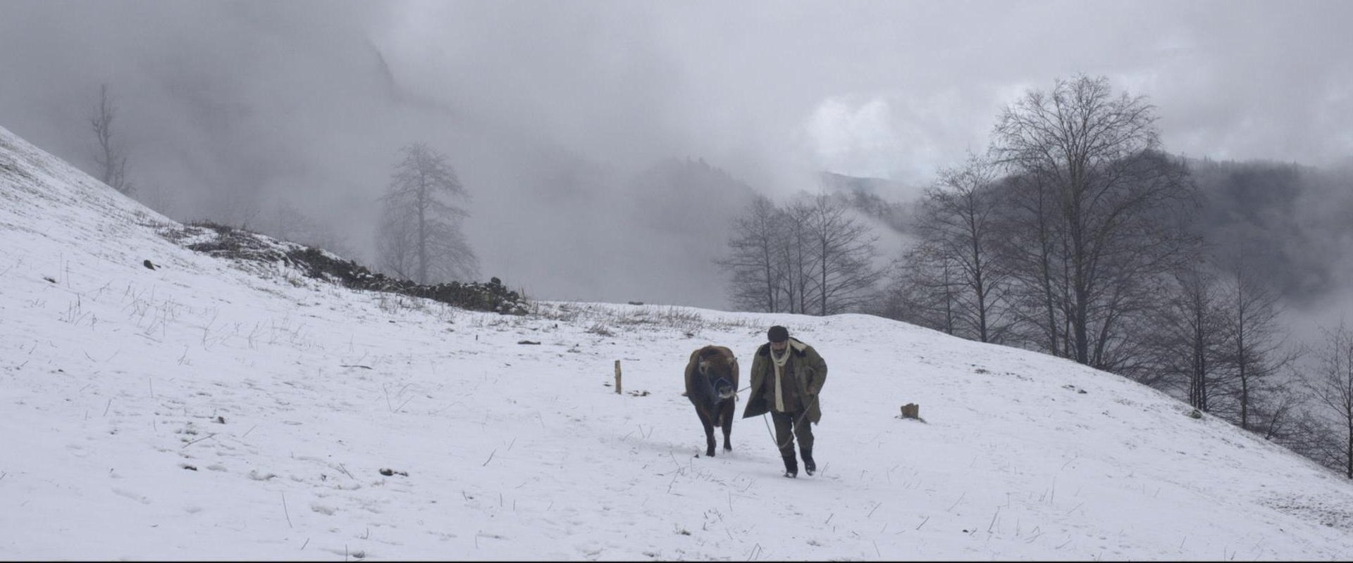 Kalandar Soğuğu filmi için arka plan görseli
