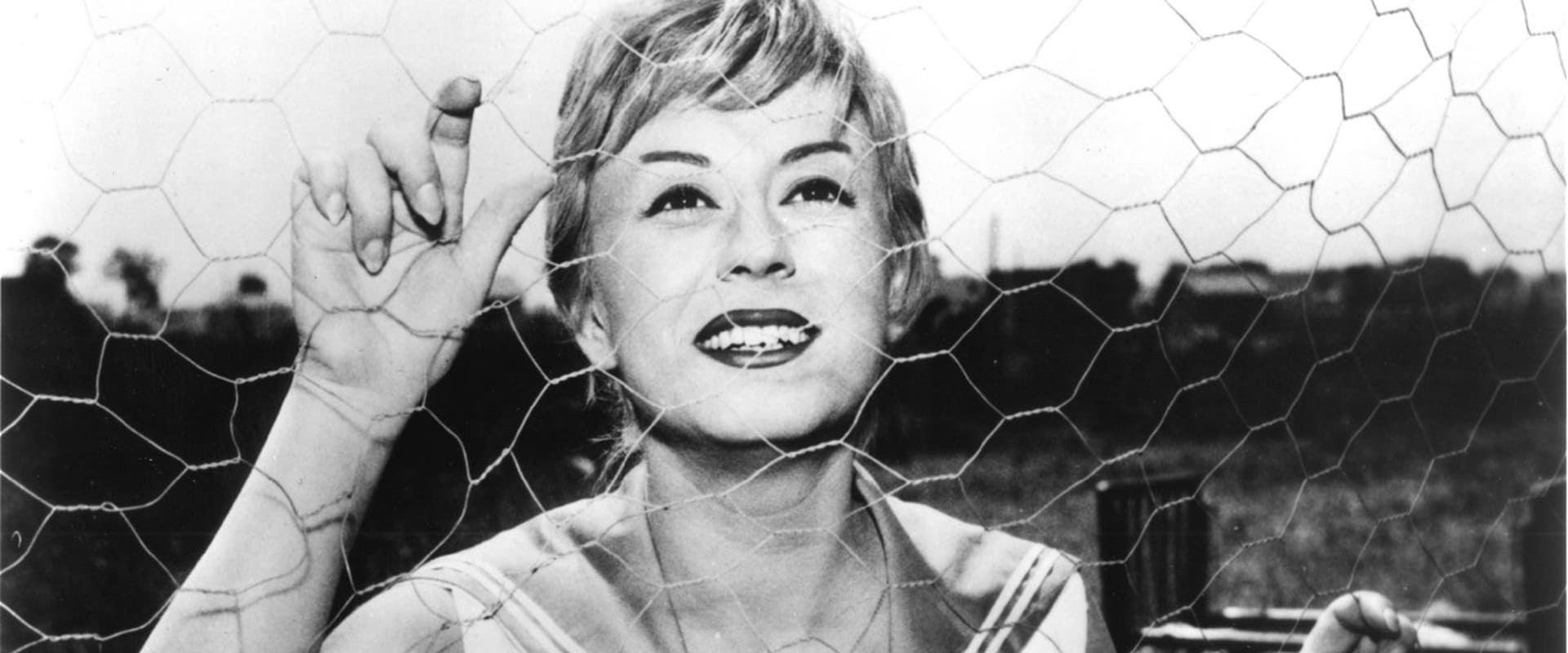 Nights of Cabiria