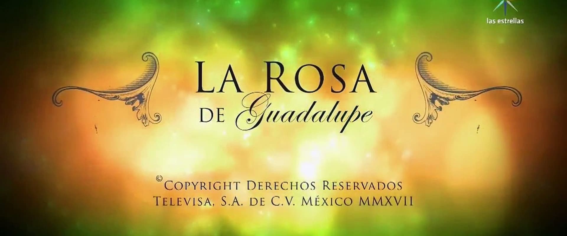 La rosa de Guadalupe