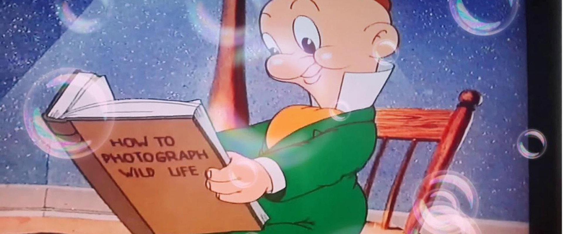 Looney Tunes Spotlight Collection: The Premiere Edition's banner image
