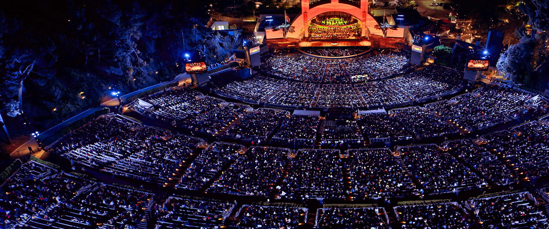 The Lion King at the Hollywood Bowl