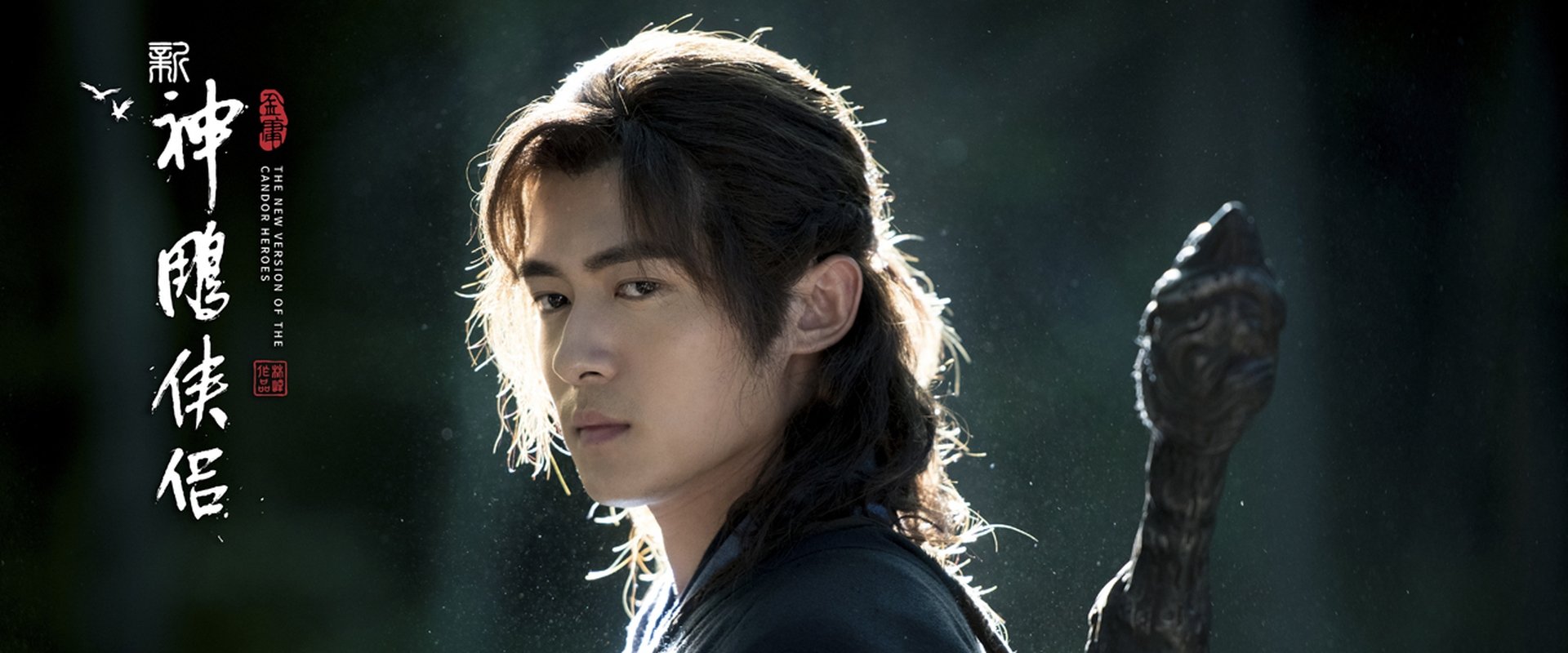 The Return of the Condor Heroes