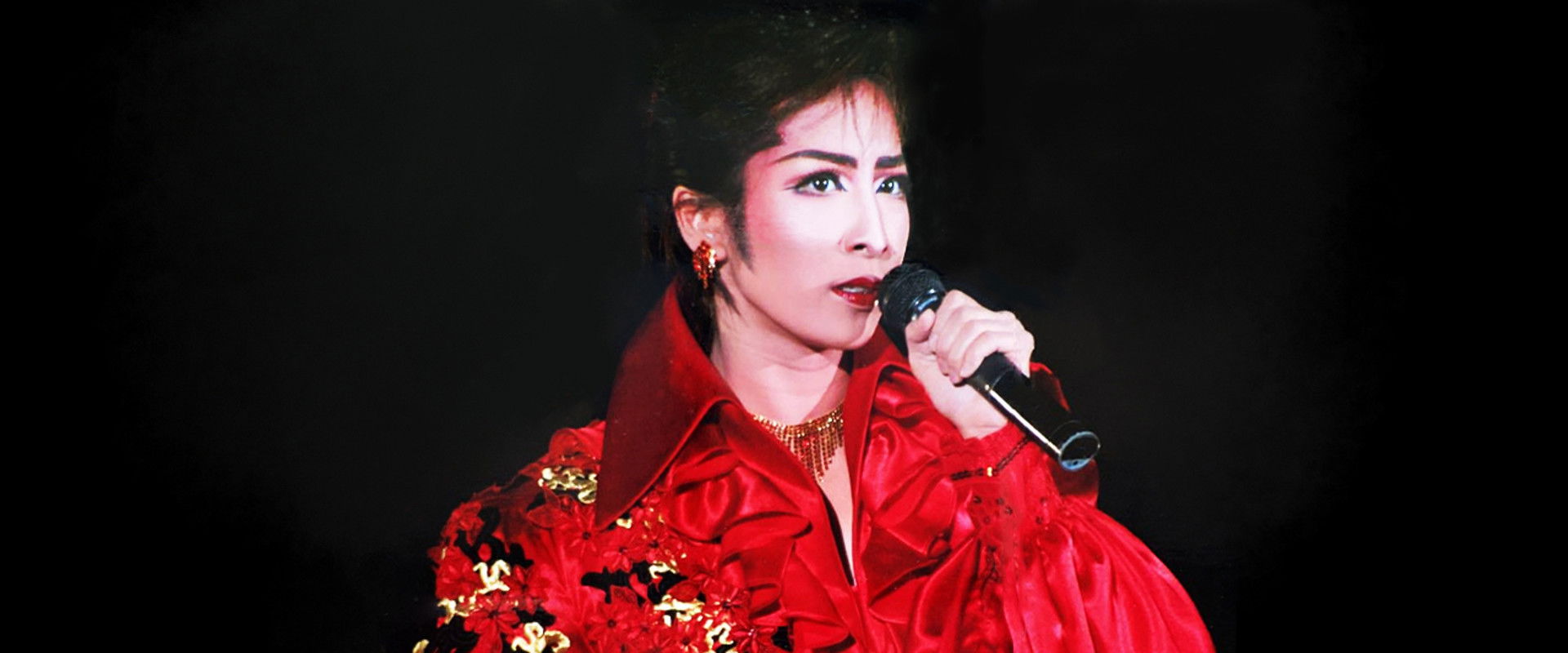 Matobu Sei Dinner Show 