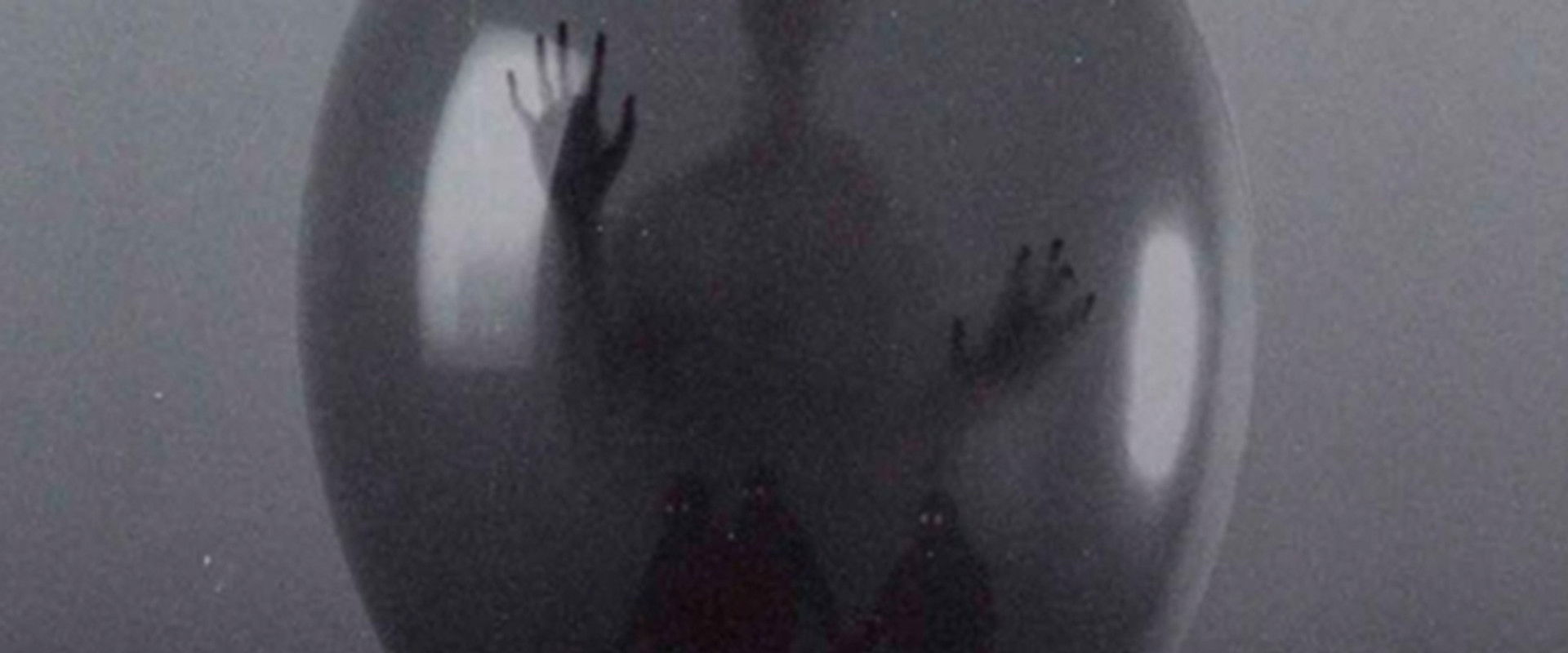 A Mother's Recall's banner image