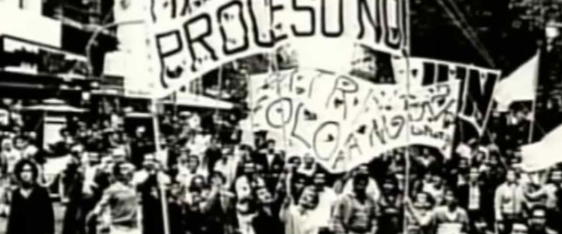 Malvinas: Stories of Betrayals's banner image