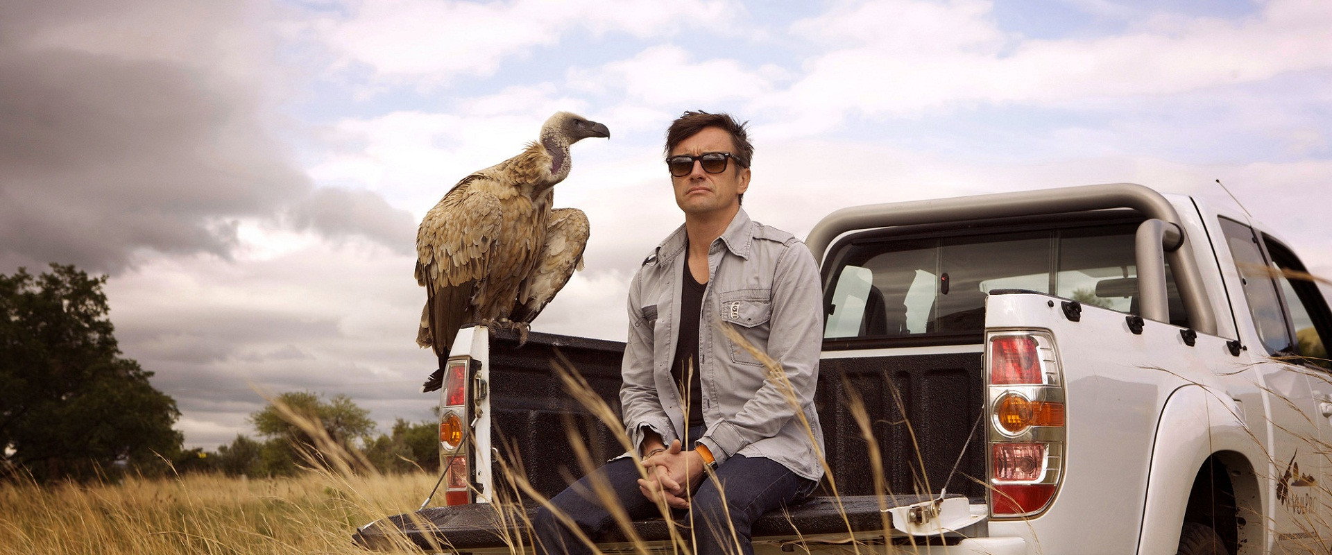 Richard Hammond's Miracles of Nature's banner image