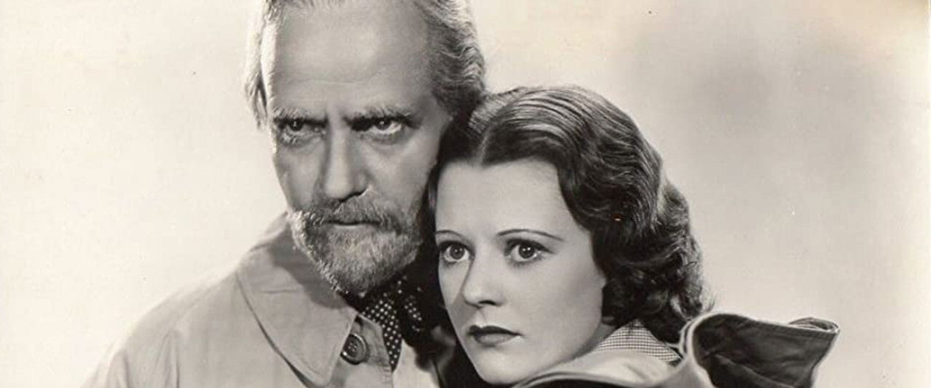 Orient Express's banner image