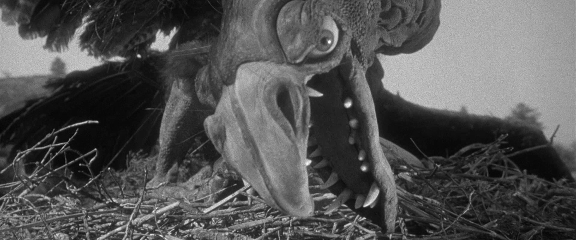 The Giant Claw
