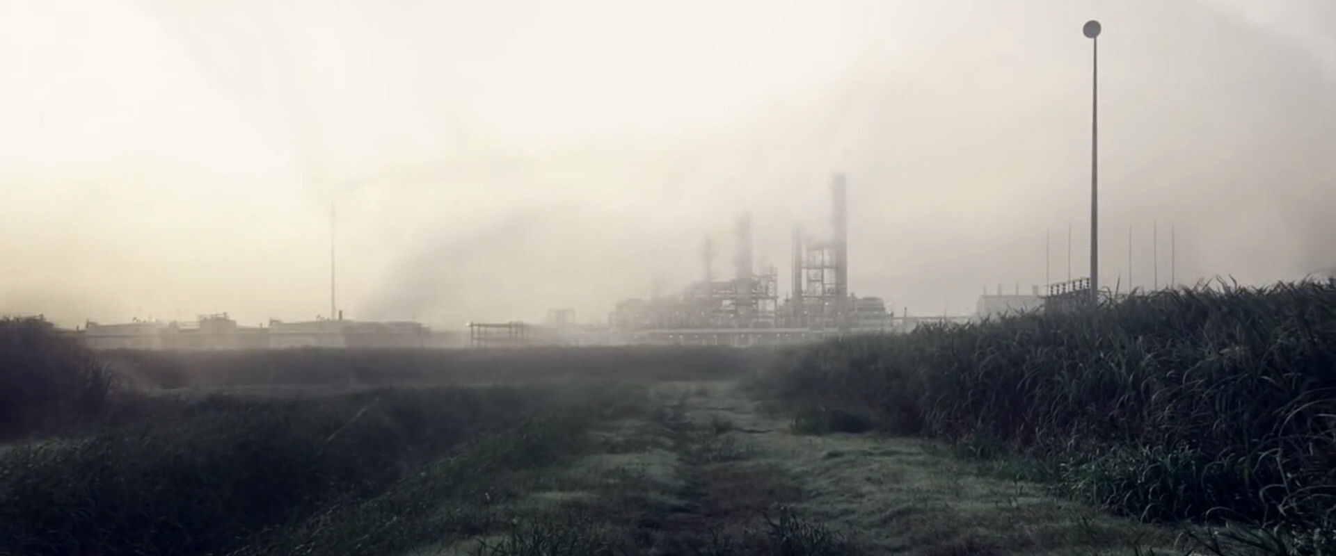 True Detective's banner image