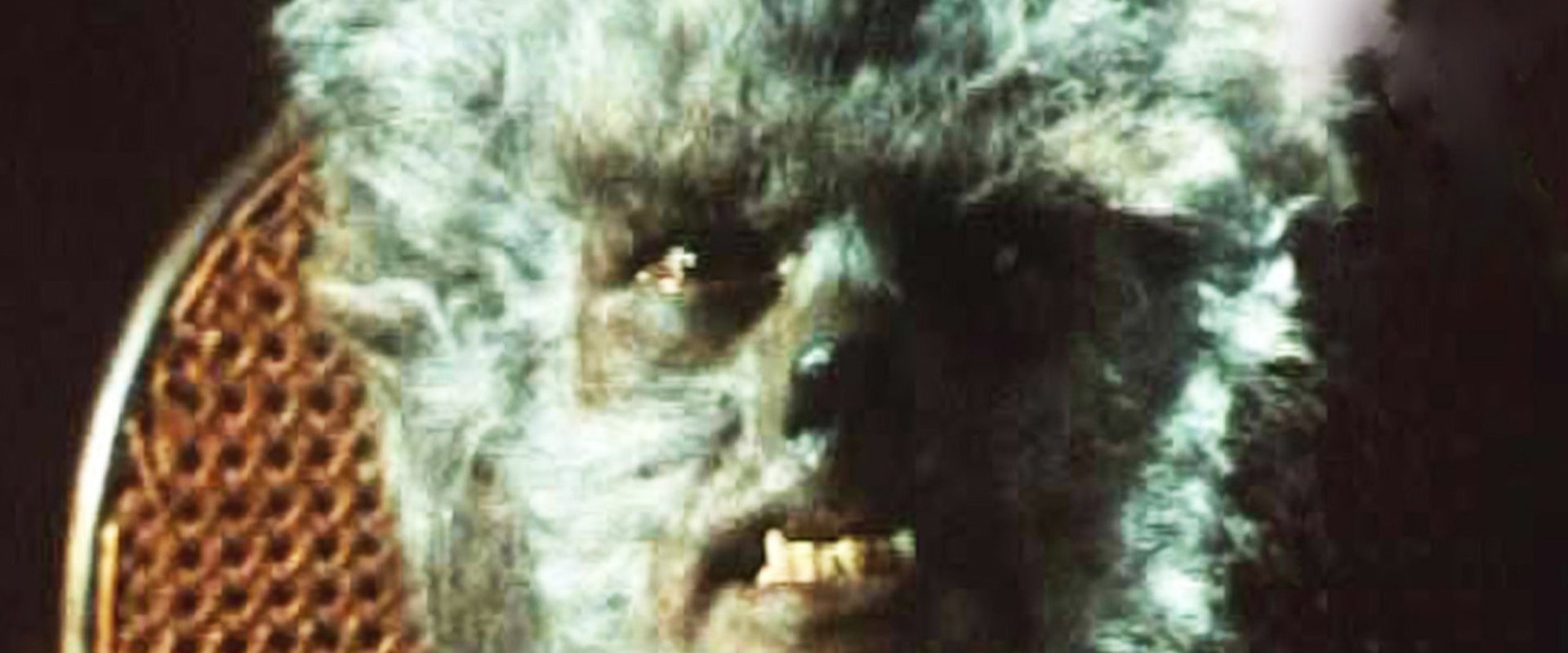 The Werewolf of Washington