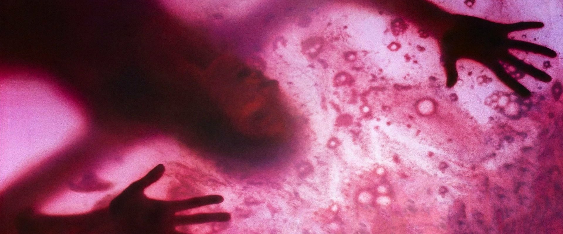 The Blob