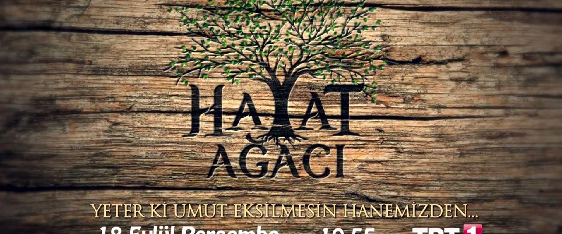 Hayat Ağacı