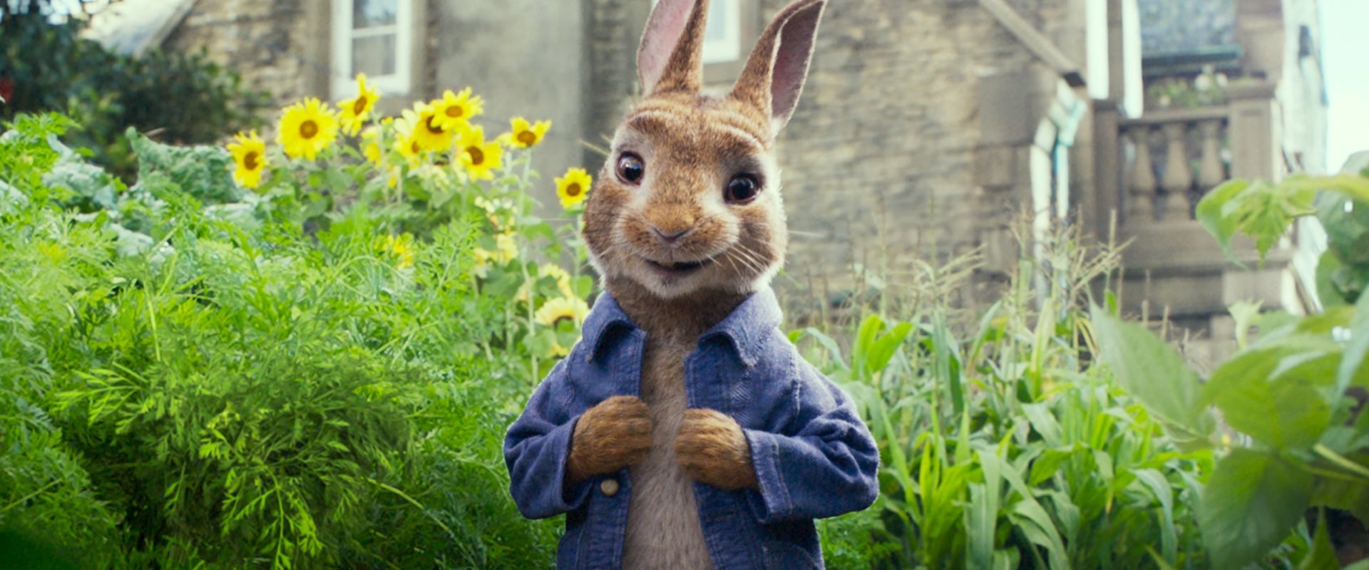 Peter Rabbit