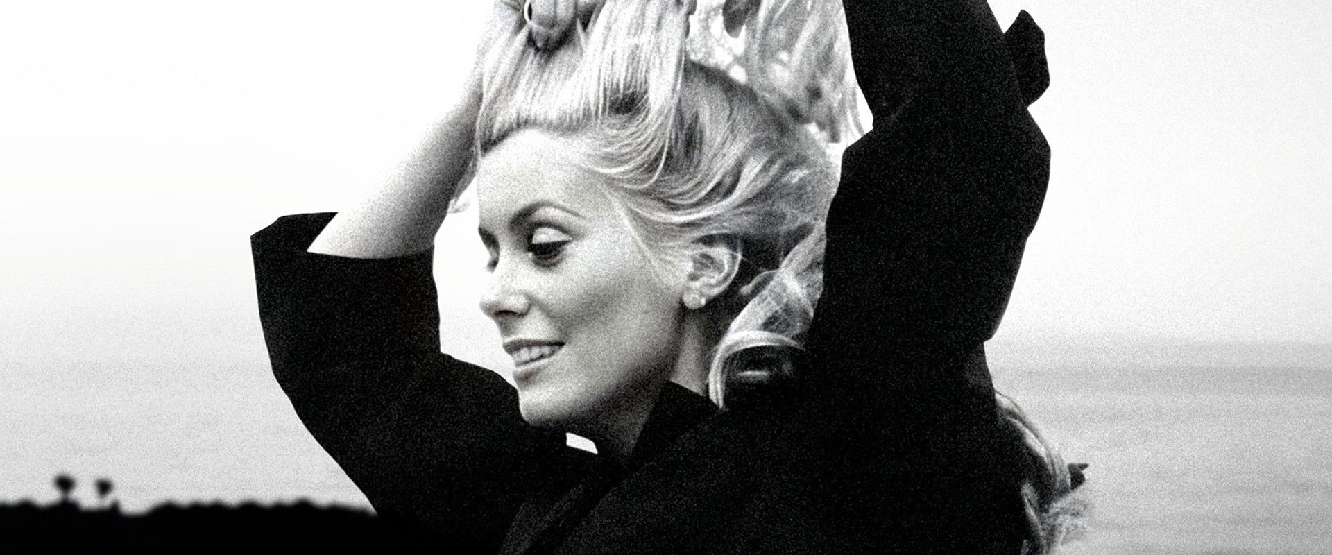 Catherine Deneuve by Chance, or, A Certain Blondeness's banner image