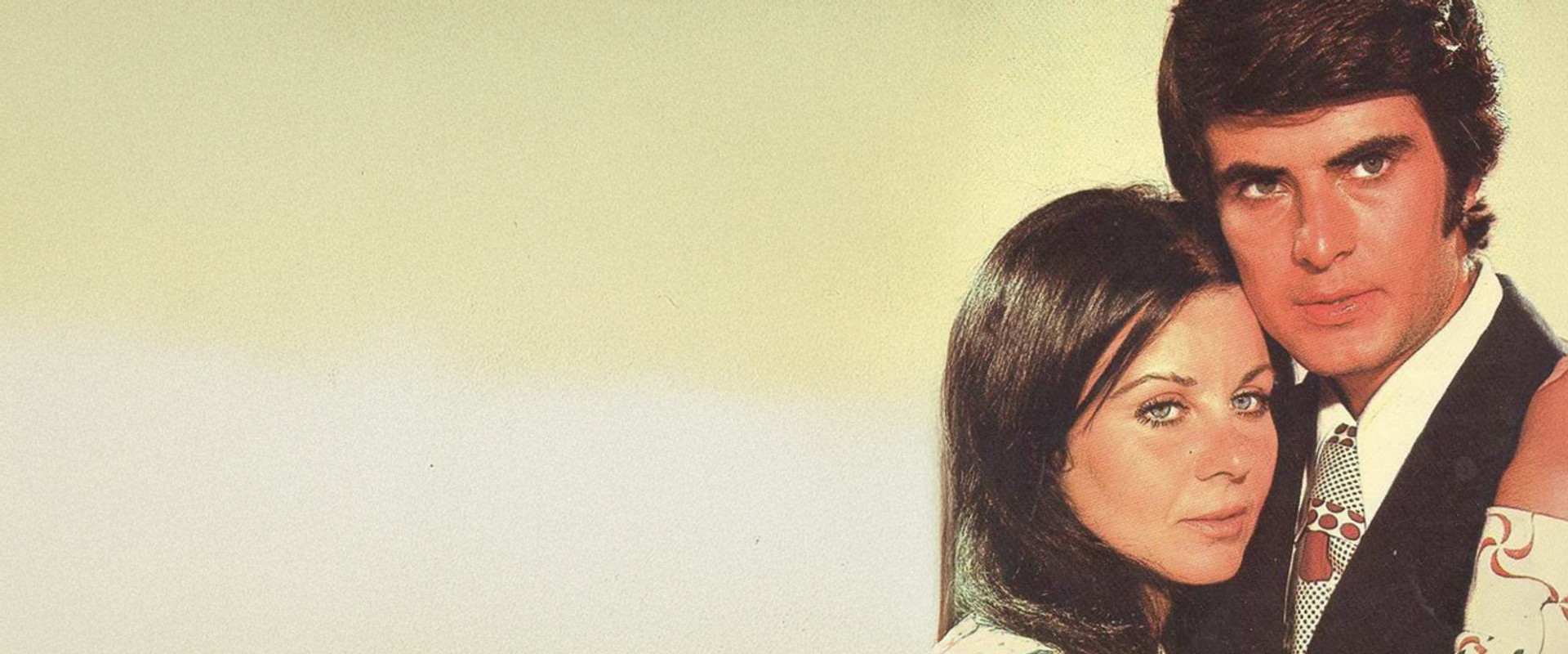 Solan Bir Yaprak Gibi's banner image